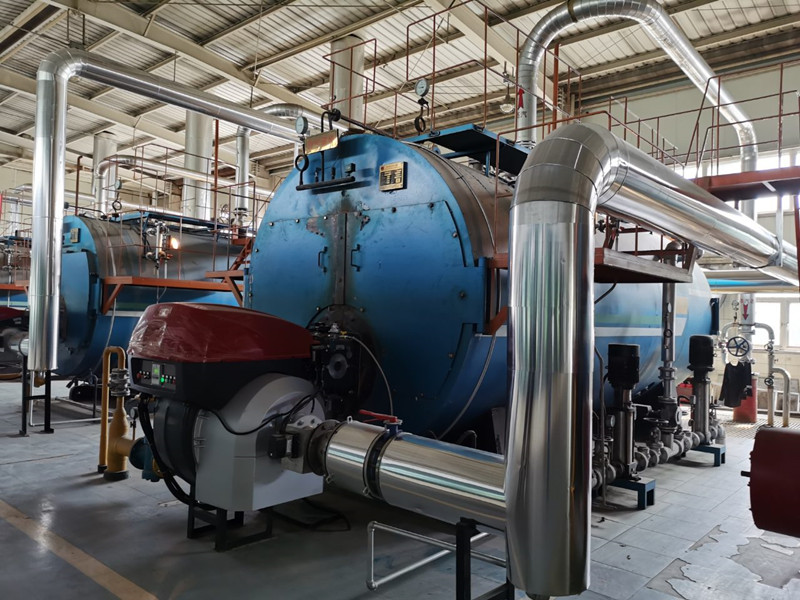 燃气锅炉低氮改造.jpg